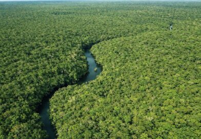 Desmatamento no Amazonas cai 30,1% no primeiro trimestre de 2026, aponta Inpe