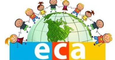 1º Seminário Estadual sobre o ECA Digital discute proteção de crianças e adolescentes no ambiente virtual