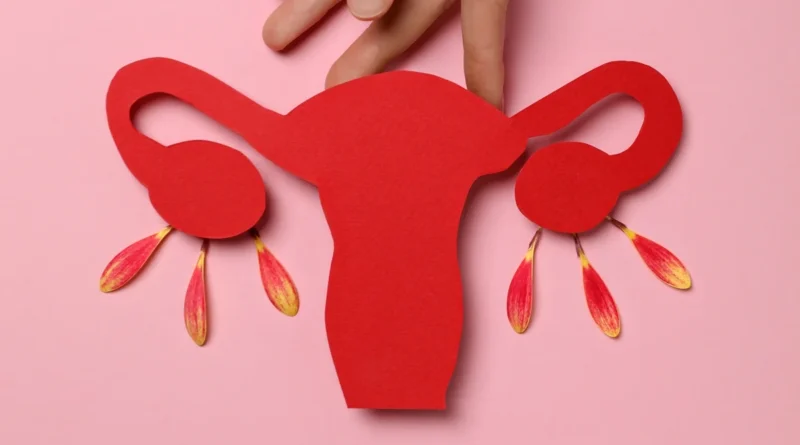 Útero com malformação pode passar anos sem sintomas e afetar gravidez