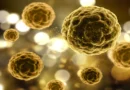 Brasil se une a estudo internacional que busca a cura para a hepatite B