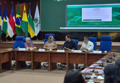 Suframa reúne empresas envolvidas no projeto-piloto do novo Sistema de Informações de Projetos Industriais