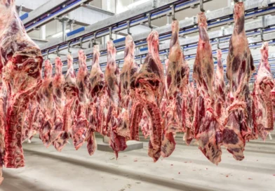 União Europeia suspende importação de carnes, ovos e mel do Brasil