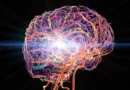 Medula óssea do crânio pode estar ligada à dor crônica, aponta estudo