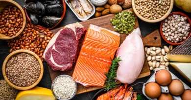 As 20 melhores proteínas para quem quer se nutrir e bater a meta diária