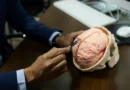 Neurologista indica os melhores jogos para manter o cérebro “afiado”; veja