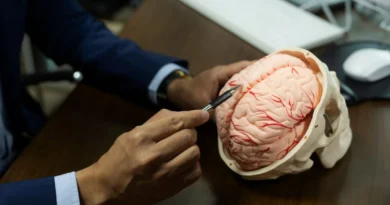Neurologista indica os melhores jogos para manter o cérebro “afiado”; veja